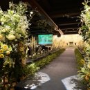 하림각 | 종로 HW컨벤션센터 웨딩홀 | 에메랄드홀 하림각 뷔페 메뉴 식대 하객 후기