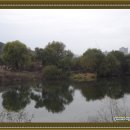 월평공원 습지길 이미지