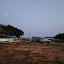 고성냉동수산