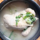 백두봉삼계탕 | < 마산 댓거리 맛집 추천 > 몸보신에 좋은 백두봉 삼계탕