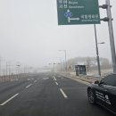 안개로가로수 | 대전장거리택시｜안개 속에서도 안전하게, 서천 국립생태원 교육 동행 후기