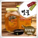 순수생도