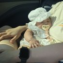 138고깃집 이미지