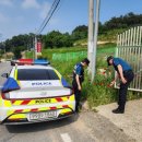 남부파출소 이미지