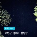 별이 쏟아지는 영천 보현산 별무리 캠핑장 : A4번 사이트 후기