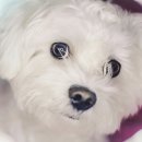 수락동물병원 이미지