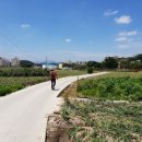 남중파크 이미지