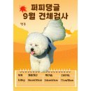 쌍령동-8 이미지