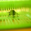 내원야영장 이미지