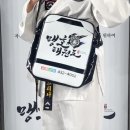 맹호 태권도장 이미지