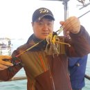 훼미리호 좌대낚시터 이미지