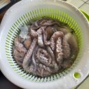 상림수산 이미지