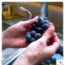 아이누리한의원 장유점 | 세척법/김해장유 한의원/장유 소아한의원/경남 아이누리 한의원/장유 추천 한의원]- 장유 한의원에서...