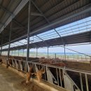 대형목장 이미지