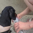 2022년 8월 2일 화요일 엄마, 로빈이와 함께 함평 돌머리해수욕장, 카페 이미지