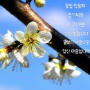 매봉(2) 이미지