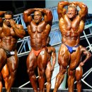 올림피아 이미지