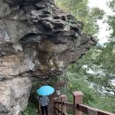 노을자리 이미지