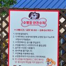 도그랜드 이미지