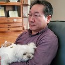 행복한 멍냥이 이미지