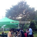 춤추는꽃동네 이미지