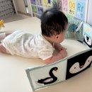 더 미사지오 | 단두 두상교정 진단병원 지오헬멧 비바3D 방문기 추천인코드