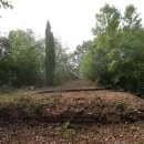 헤이리사거리 이미지