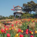 제주허브동산 이미지