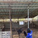 농부네텃밭민박 이미지