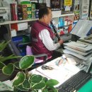 연주약국 이미지