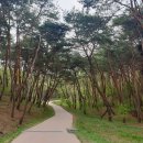 동네막국수 네이버블로그