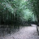 숲소리마을 이미지