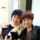도그맘 이미지