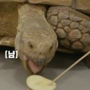하영기획