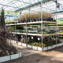 우림가든 이미지