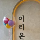 201 | 익산 모현동 반려견실내놀이터 반려견카페 '이리온' 방문후기