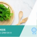 케이맘바 네이버블로그