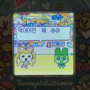 딩딤1968 | 홍콩 현지맛 그대로..육즙 팡 터지는 딤섬과 매콤탱글 새우덮밥이 대박인 '딩딤 1968' 솔직후기