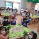 호연(병설)유치원 이미지