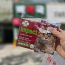 백약국 | 펫코팜 예약 픽업 후기 ｜ 안양 동물약국 심장사상충약 구매 (feat. 백약국, 넥스가드)