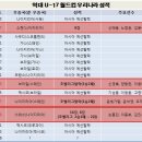 U-17 월드컵 한국 역대 성적 이미지