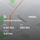 러닝 3km 웜업 모닝러닝 모닝루틴 프로스펙스 러닝 경량 하네스 후기 짝궁이랑 한강 러닝 까지!