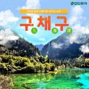 모두여행센터 이미지