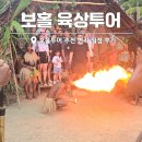 지혜농장 | 보홀 육상투어 현지 일정 나비농장 로복강투어 맨포레스트 안경원숭이