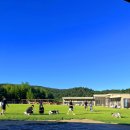 개들랜드 이미지