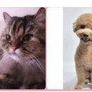 다남로 165번길 이미지