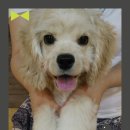 포포앤미루 강동점 이미지