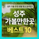 성주 가볼만한곳 베스트10