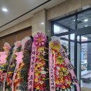 서울회관 | #4. 일상 (서울대학교 호암교수회관 웨딩홀&amp;결혼 후기)