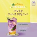 화이트에이드 이미지